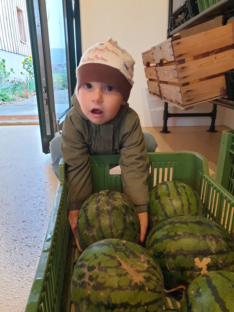 Valerie versucht die Wassermelonen von Familie Drummler zu heben