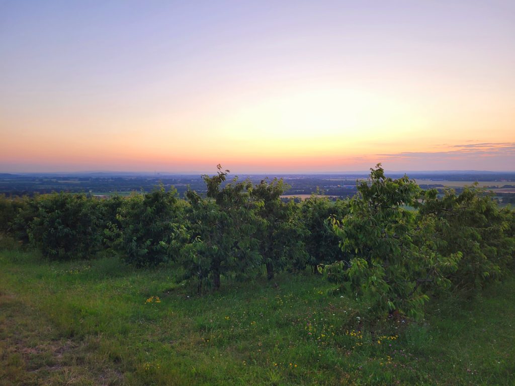 Abendstimmung am Riegelberg 2023
