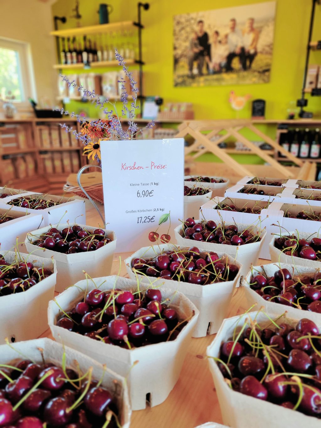 Kirschen im Verkaufsraum (Juli 2023)