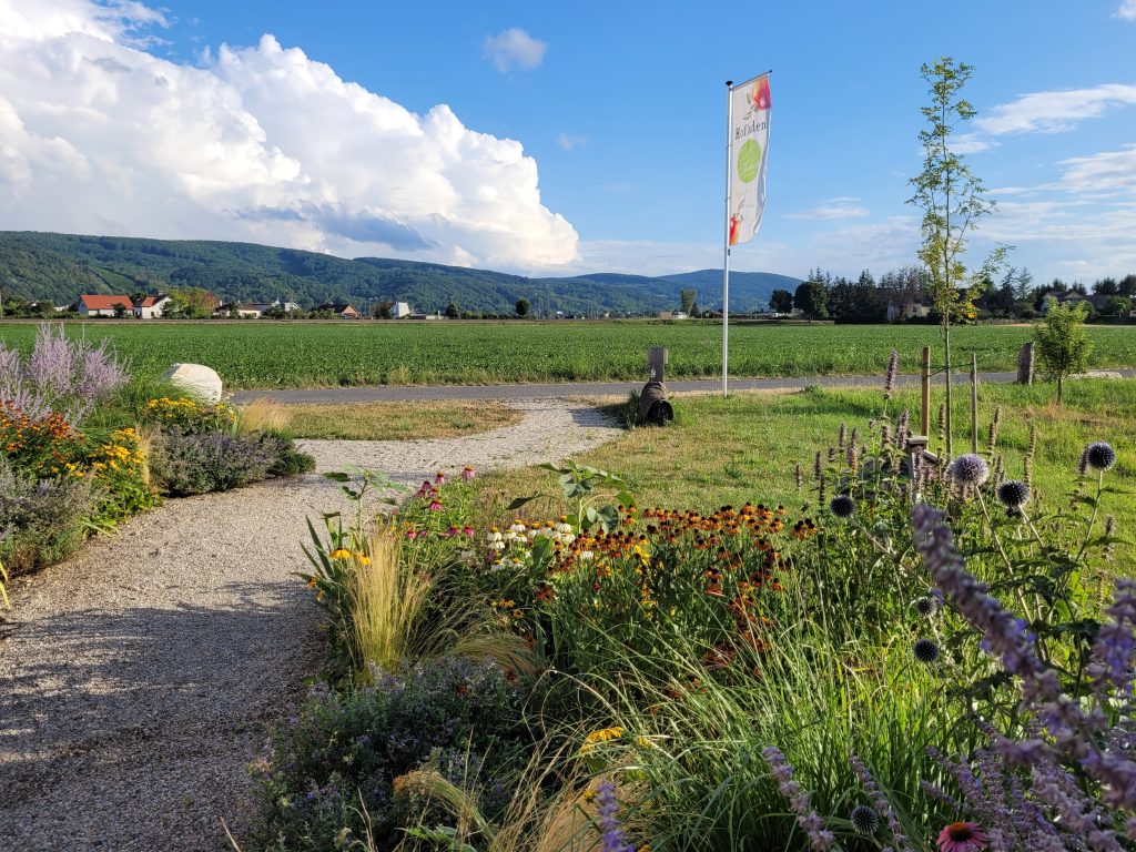 Blick aus dem Hofladen Sommer 2023