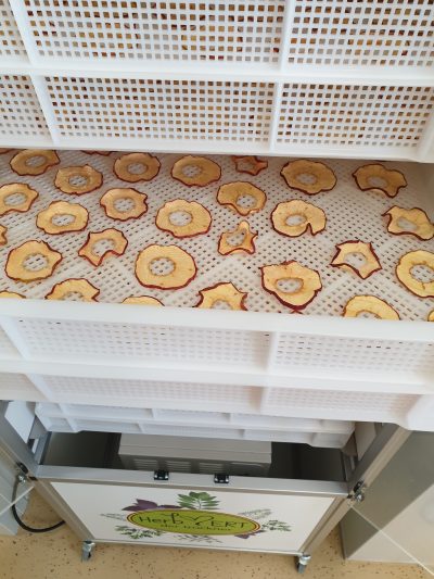 Apfelchips im Trockenschrank