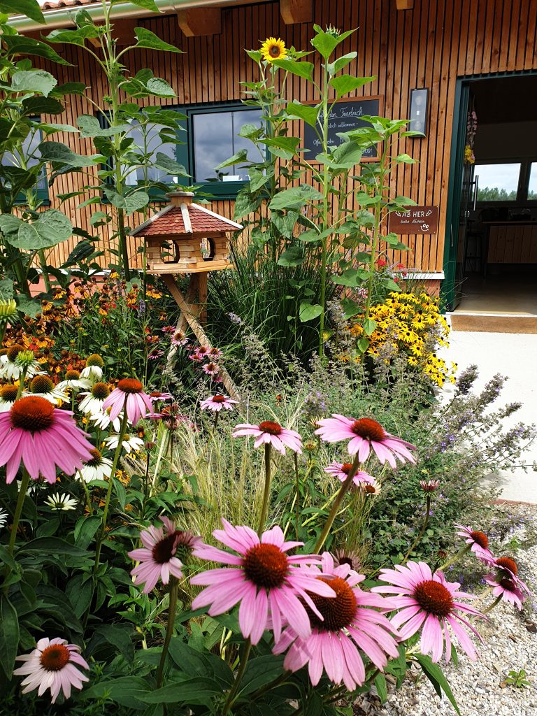 Blütenpracht vorm Verkaufsraum 2021