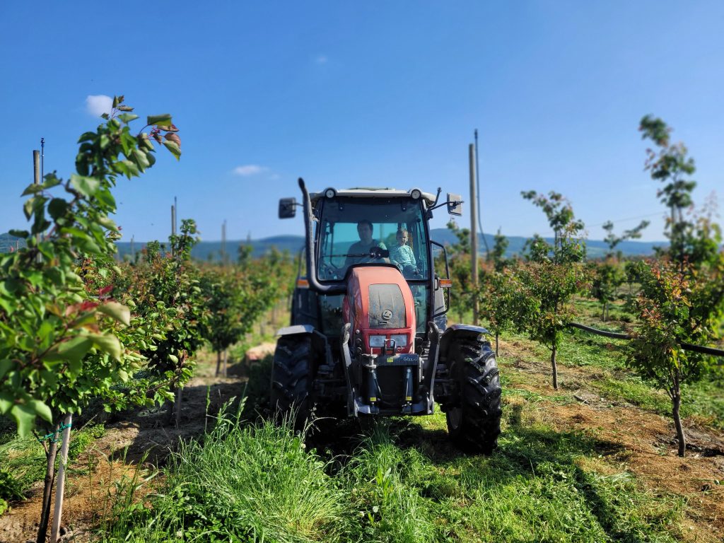 Neue Marillenanlage Muckendorf 2023