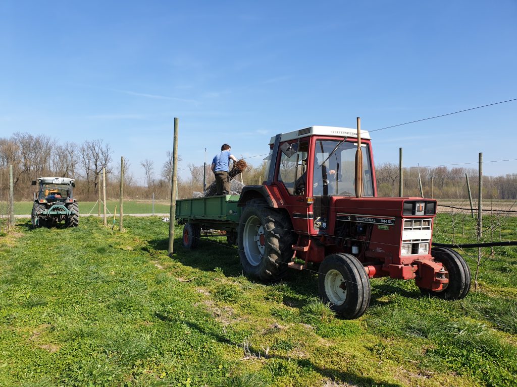 Neue Obstanlage Bäume setzten 2019